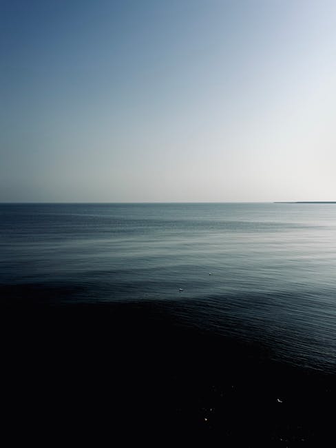 Analiză și rapoarte de progres