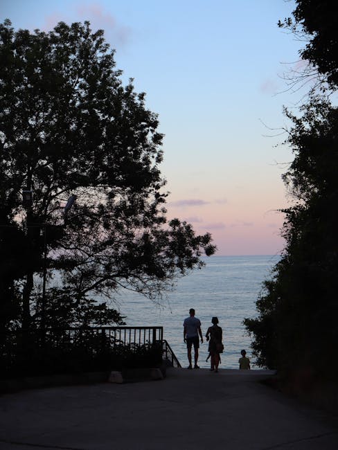 Structură logică a modulelor de curs